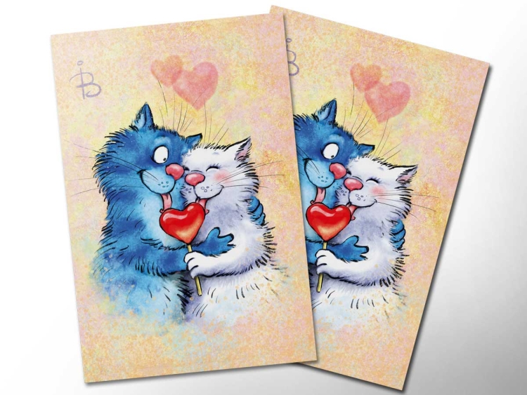 Синие коты 14 февраля