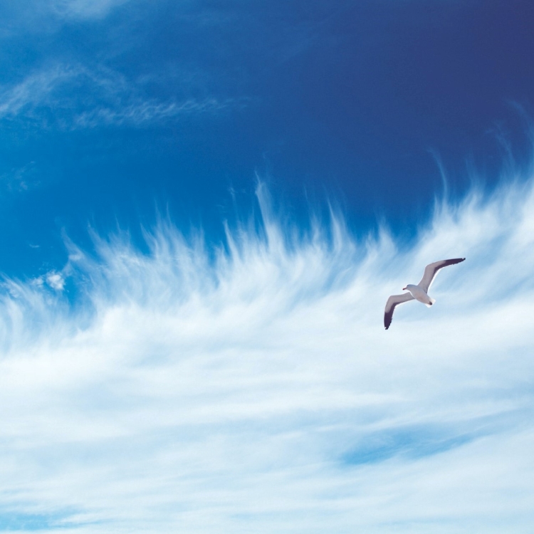 Поздравления с днём рождения мужчине своими словами