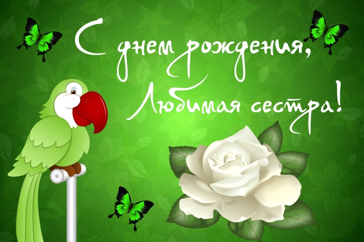 С днём рождения любимый сестра