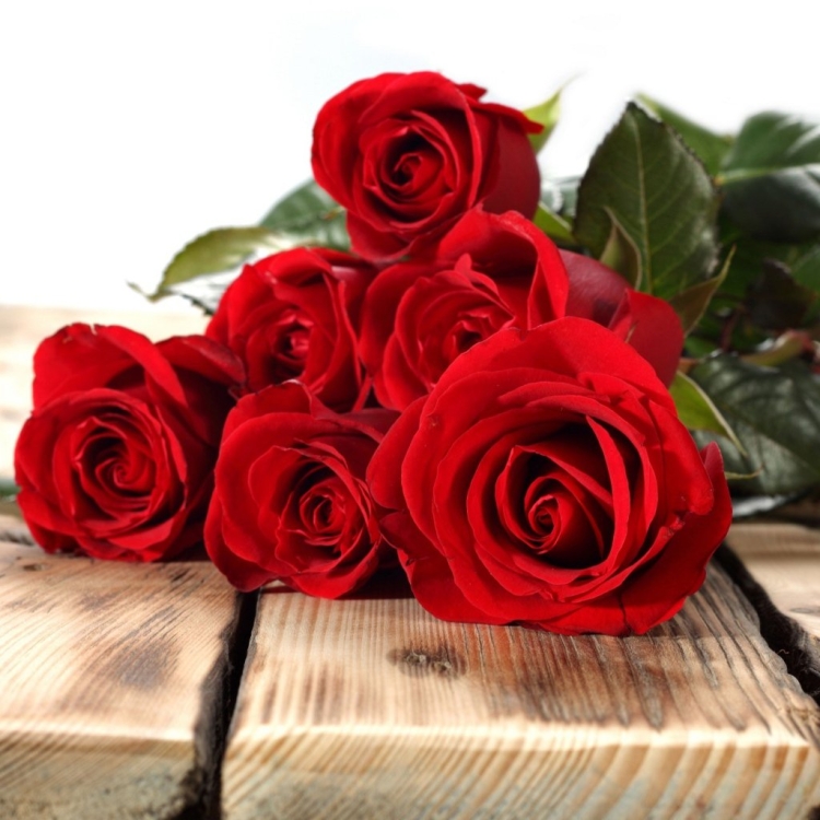 Поздравления с днём рождения дочери