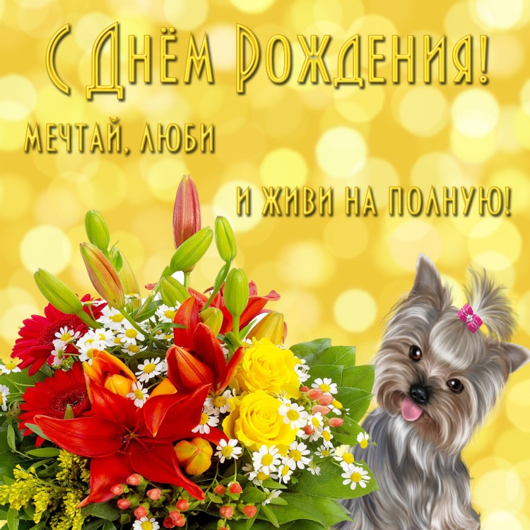 Открытки с днём рождения с собачками