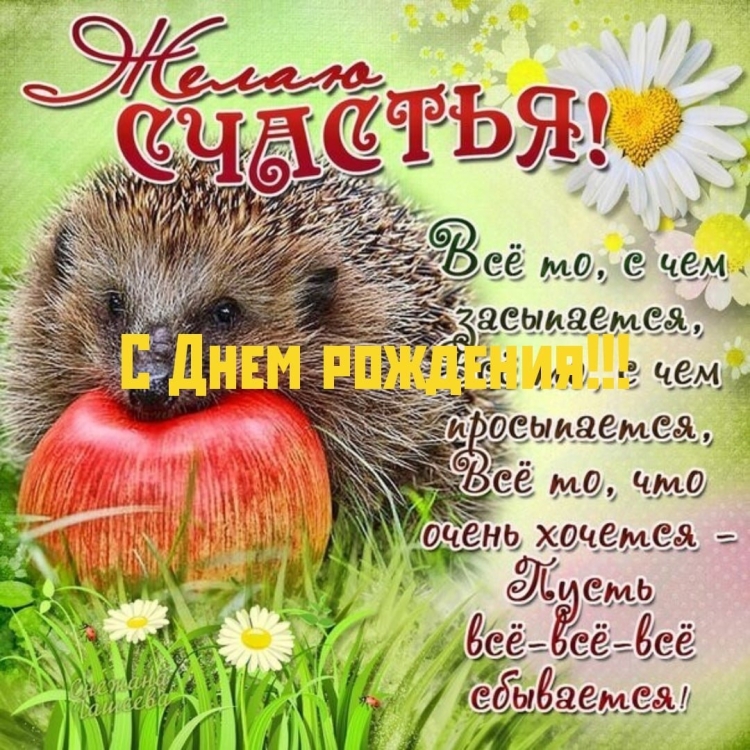 Открытка с днём рождения с ежиком