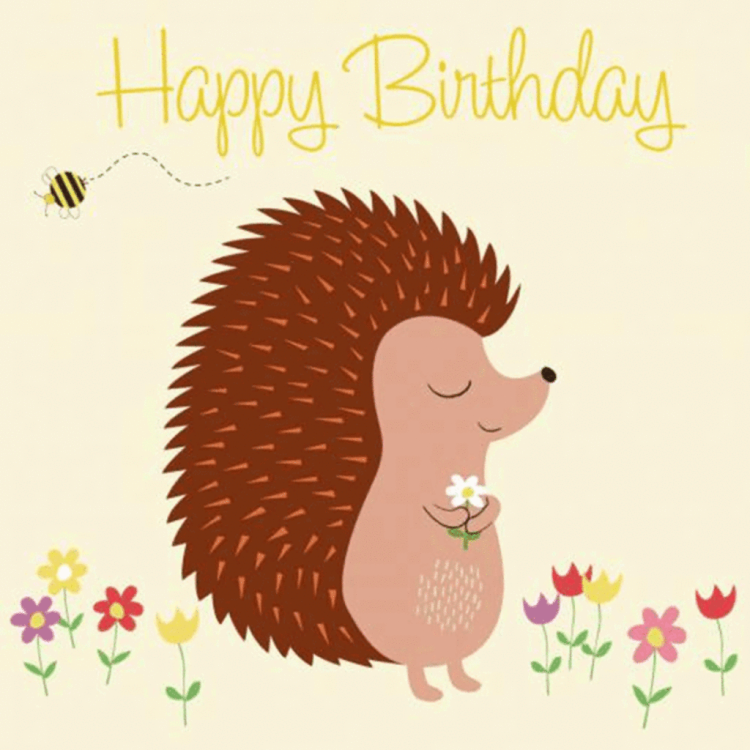С днем рождения Ежик