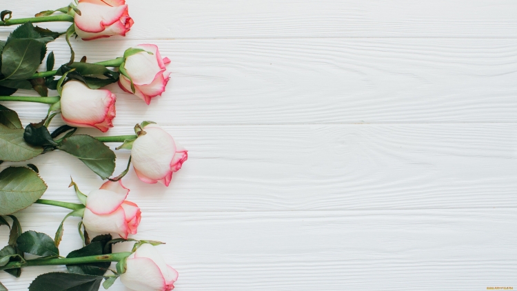 Цветы сбоку