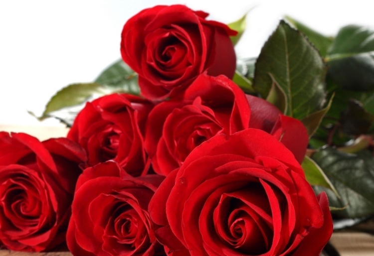 МС днемрождениядочери