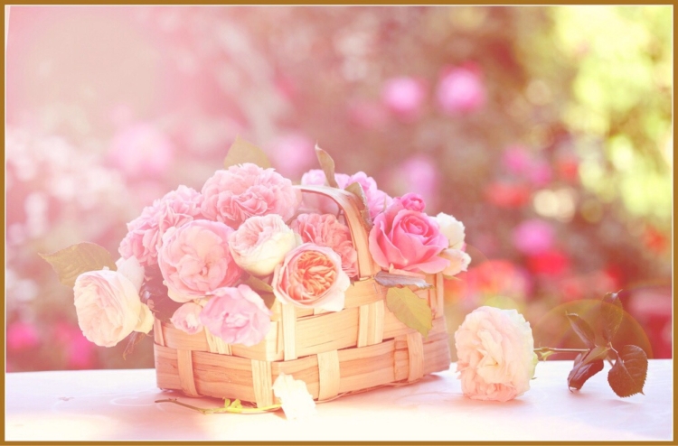 Нежные и милые цветы