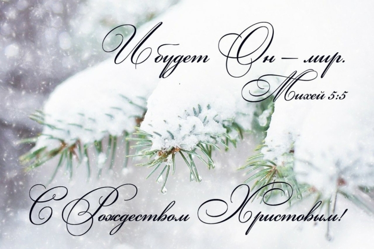 Рождественские открытки МСЦ ЕХБ