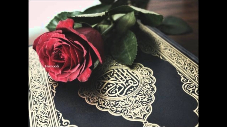 Красные розы с Кораном