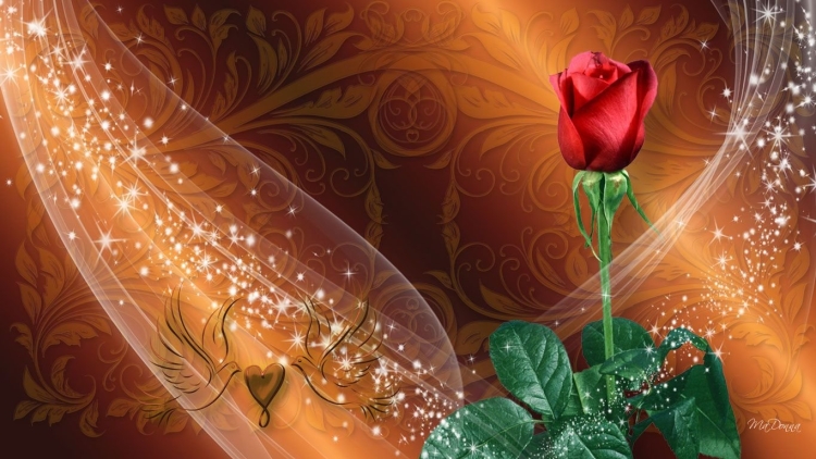 Роза в Исламе символ