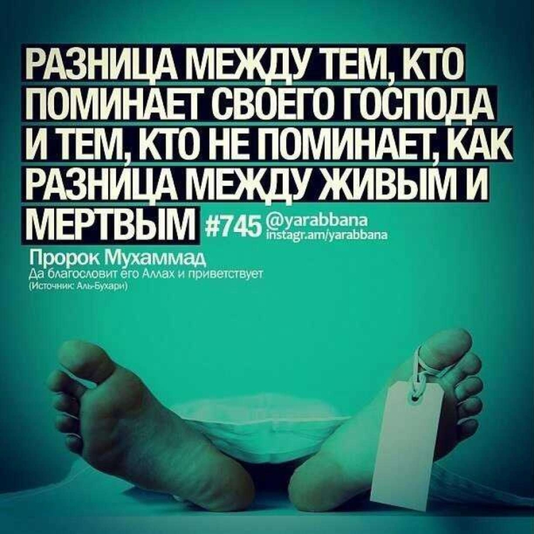 Хадисы со смыслом