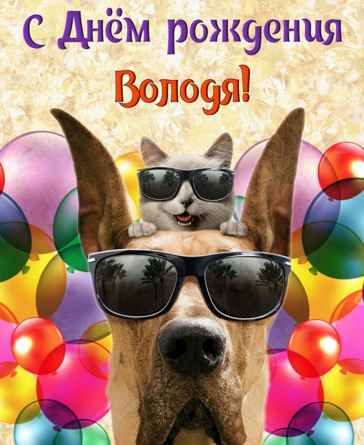 С днём рождения бротика