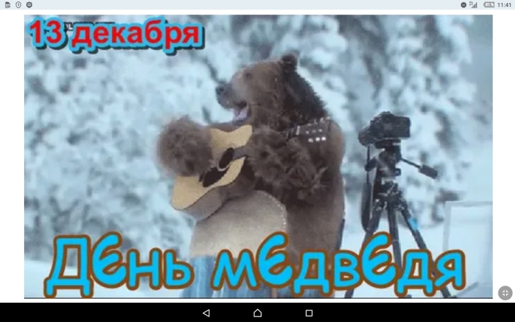 Поздравления с днём медведя