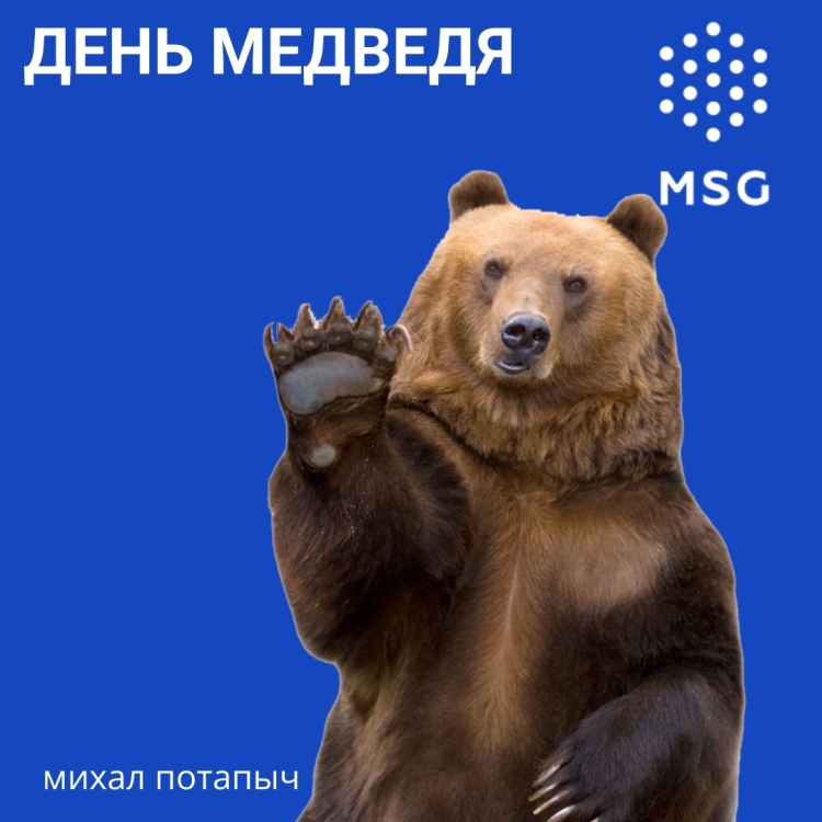 Всемирный день медведя