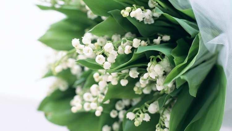 Ландыши для сестренки