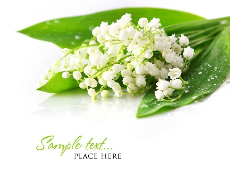 Открытки с ландышами