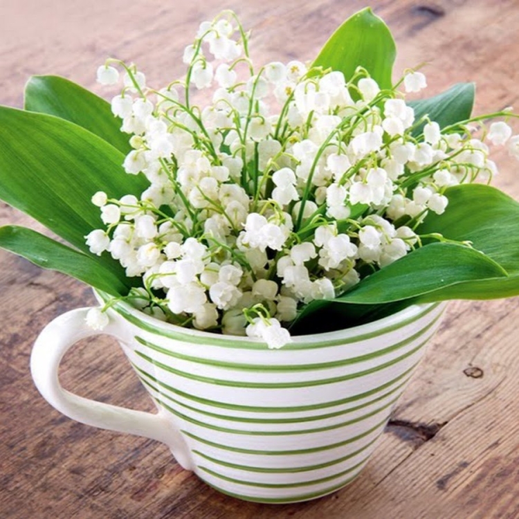 Открытки с ландышами