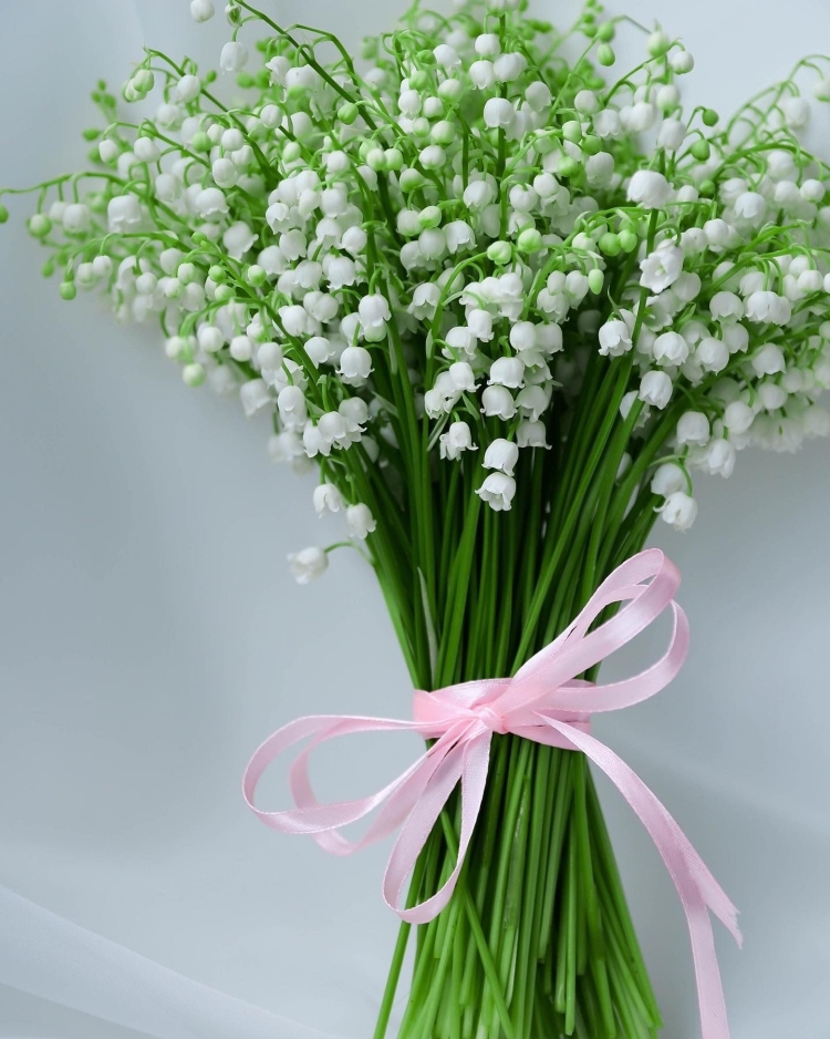 Ландыш сухоцвет