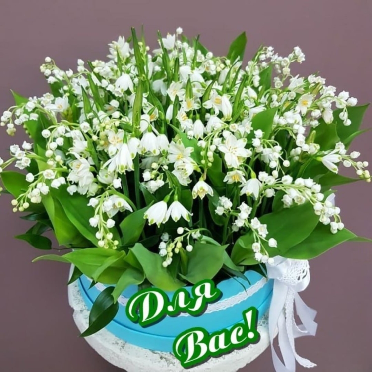 Ландыш первоцвет весенний