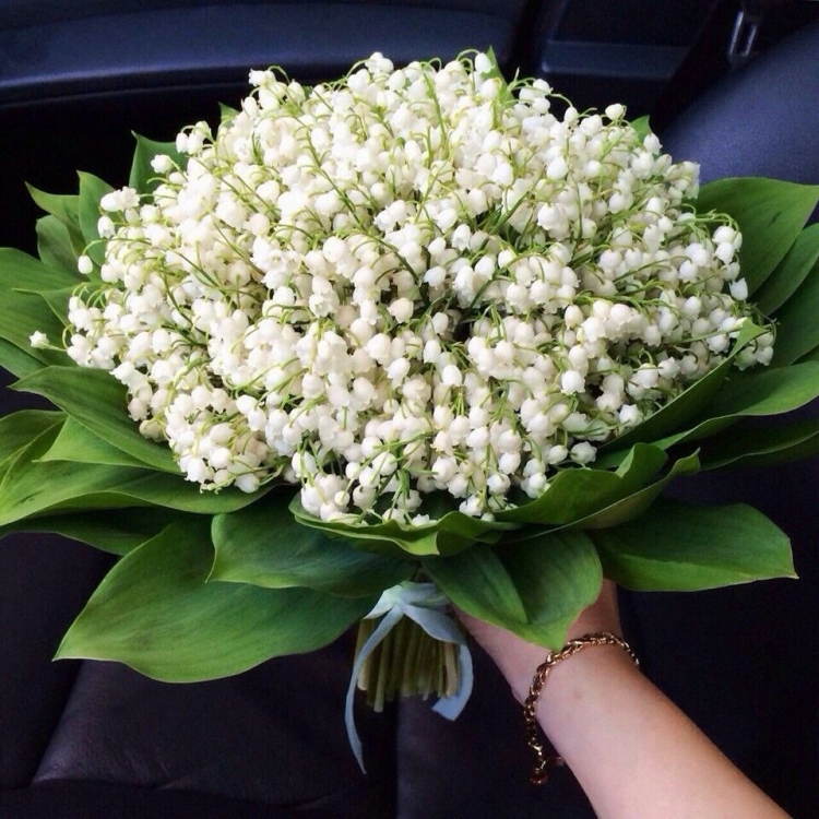 Шикарный букет ландышей