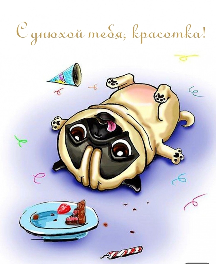 Мопс с днем рождения