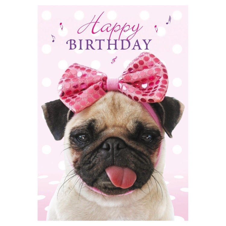 Поздравления с мопсами