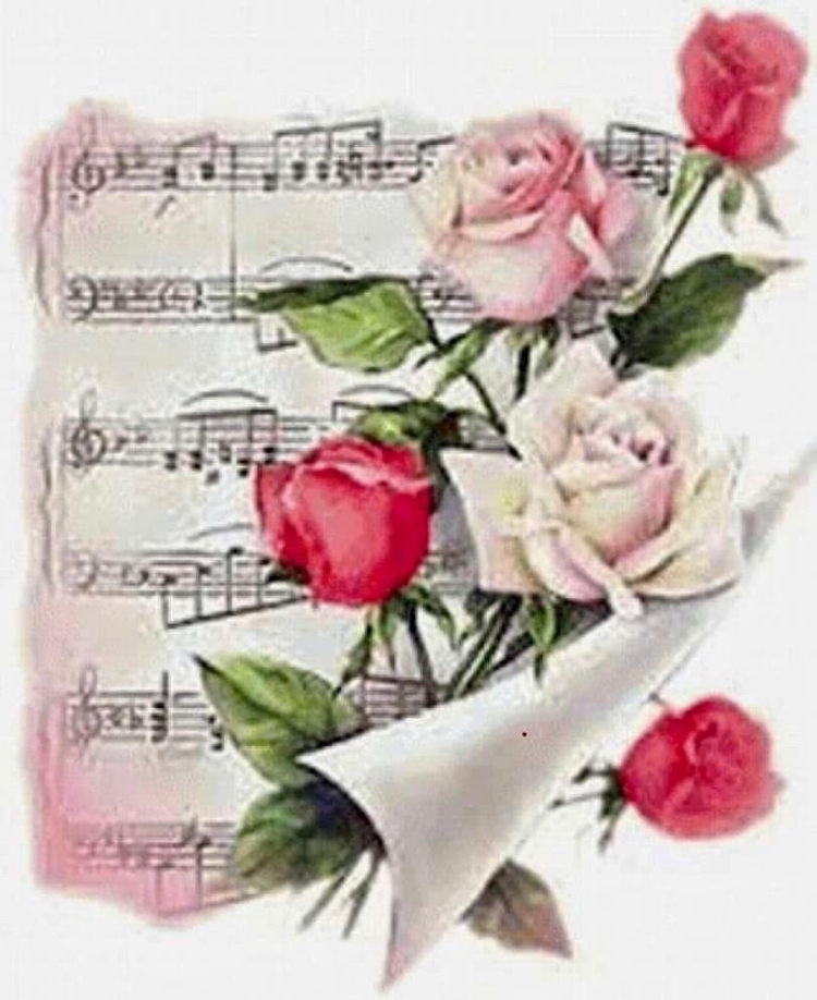 Цветы учителю музыки