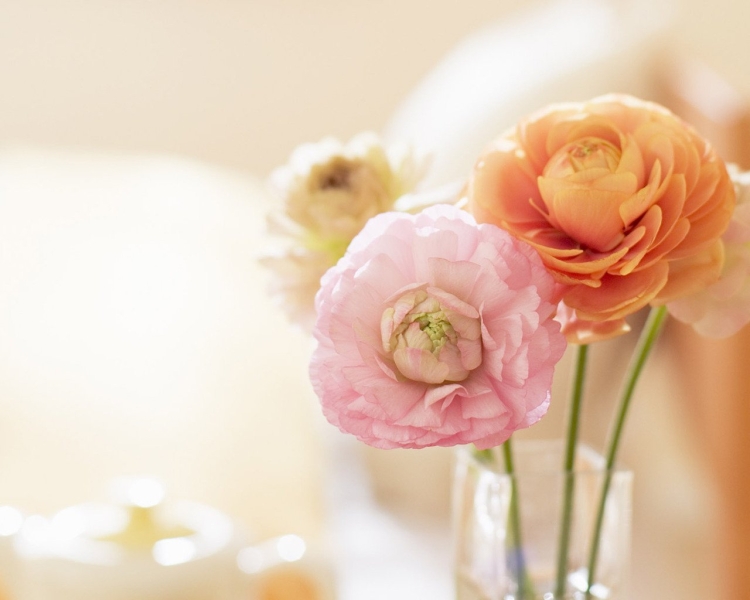 Нежный цветок