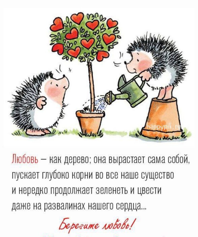 Пожелания от ежика