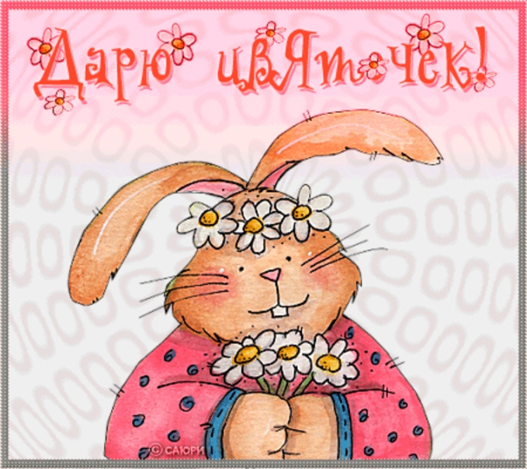 С днем рождения зайцы смешные