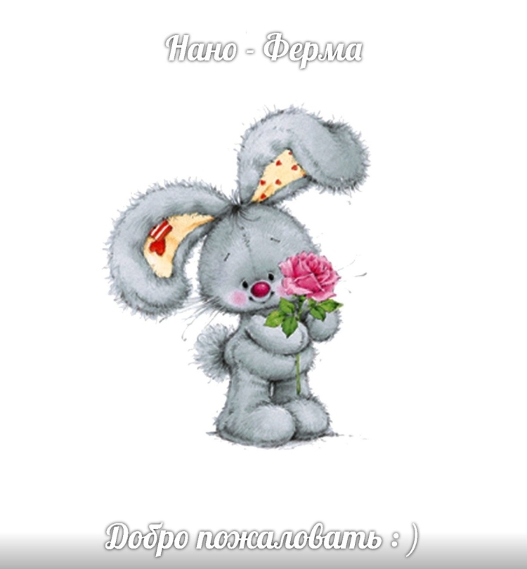 Зайчик с цветочком