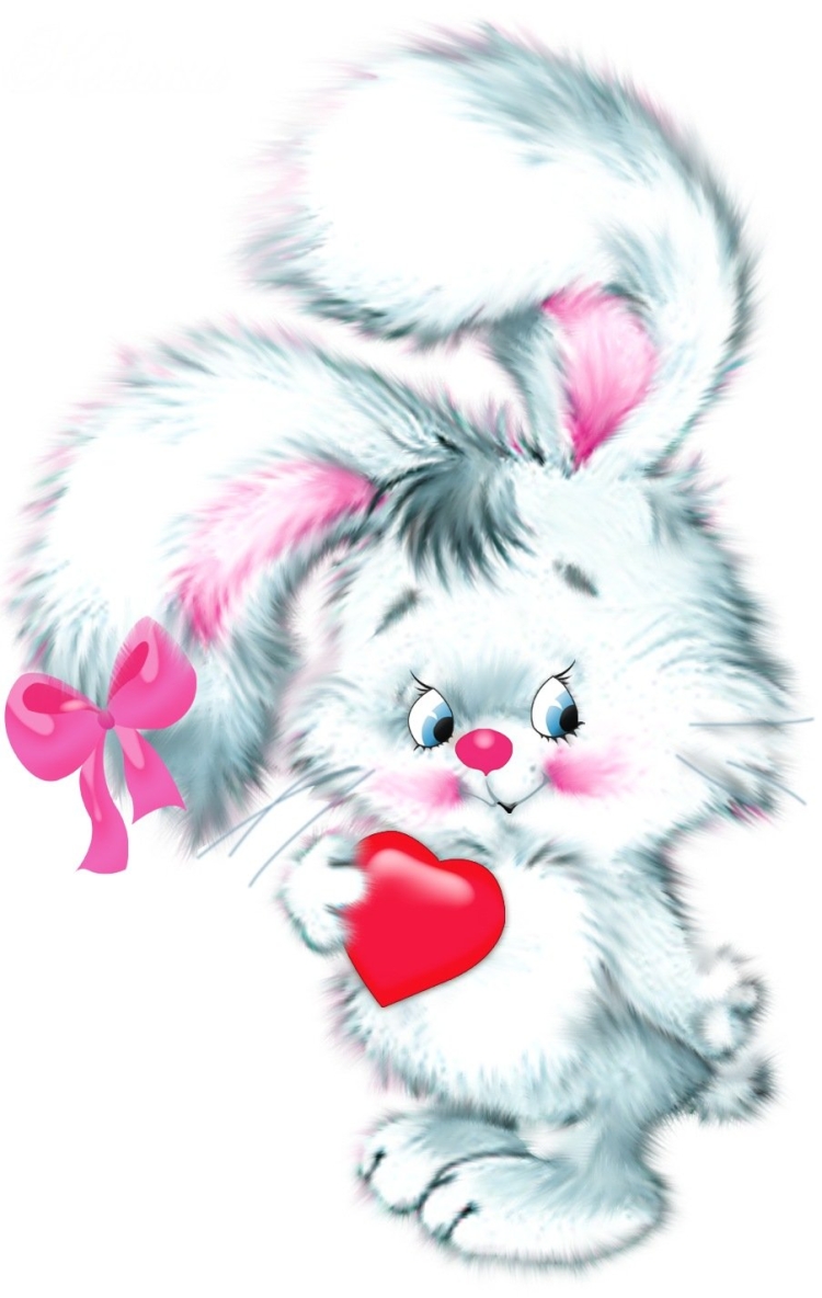 День рождения зайчика