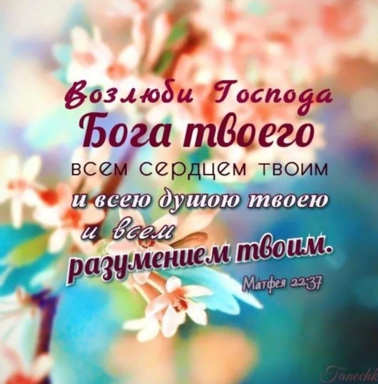 Стихи из Библии