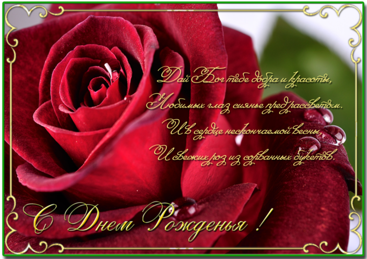 С днём рождения снохе