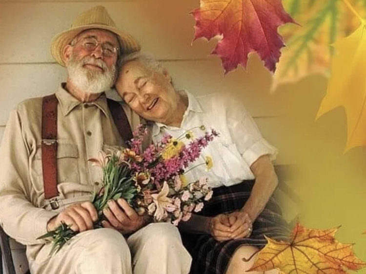 Мотиваторы для пожилых