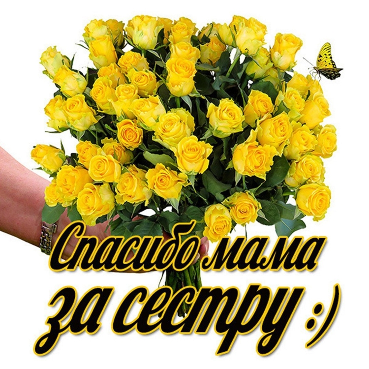 Спасибо маме за сестренку