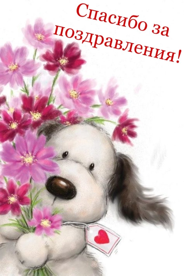 Просто так картинки красивые