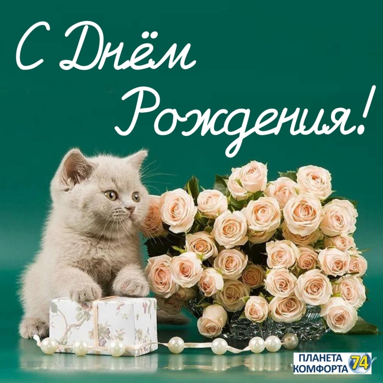 С днем рождения кошки