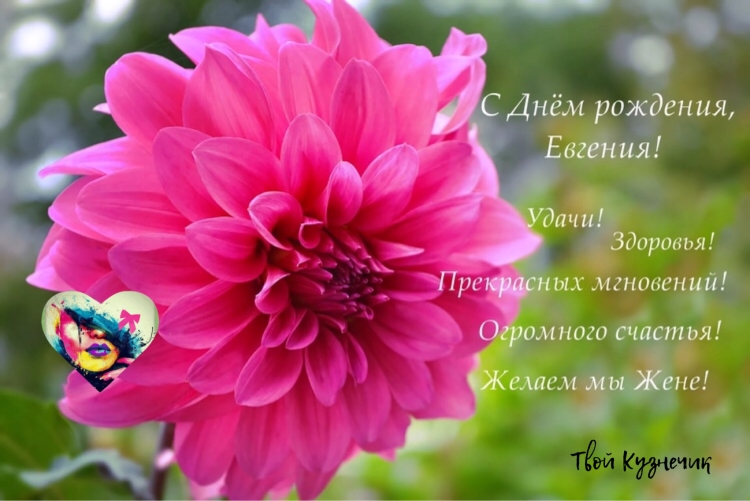 Женечка с днём рождения