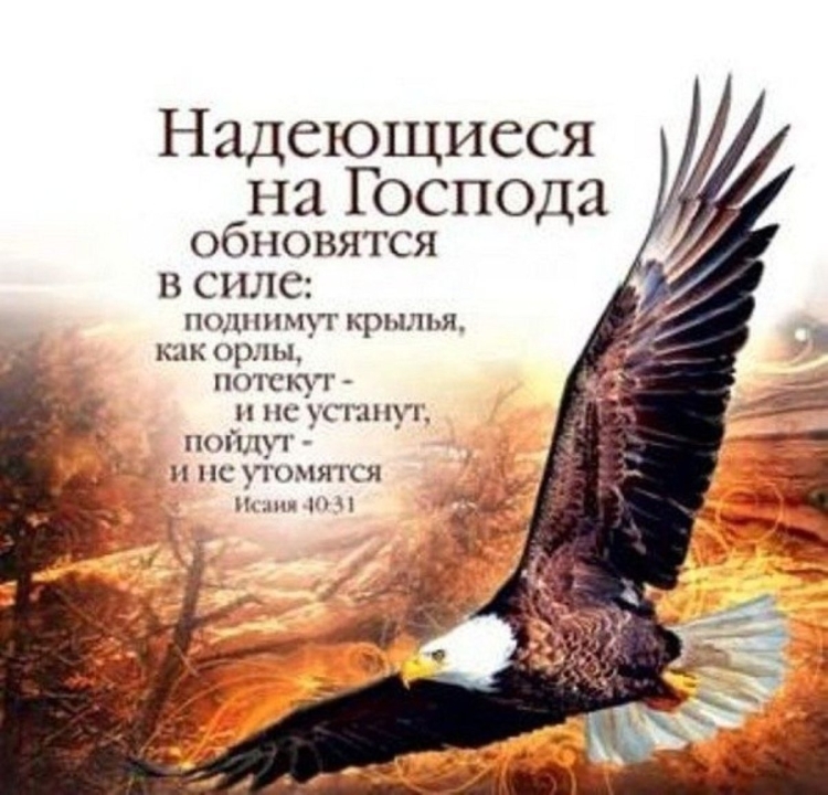 Надеющиеся на Господа обновятся в силе