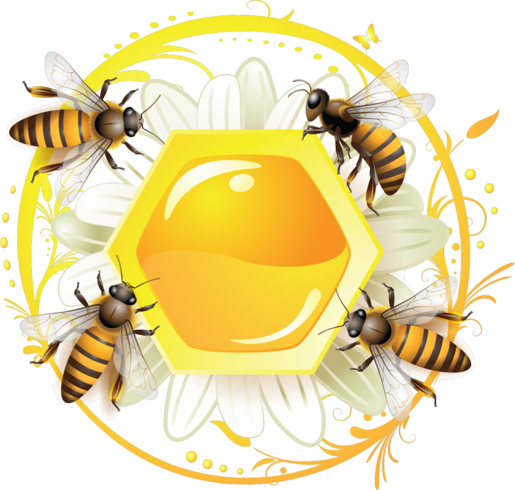 Мед и пчелы