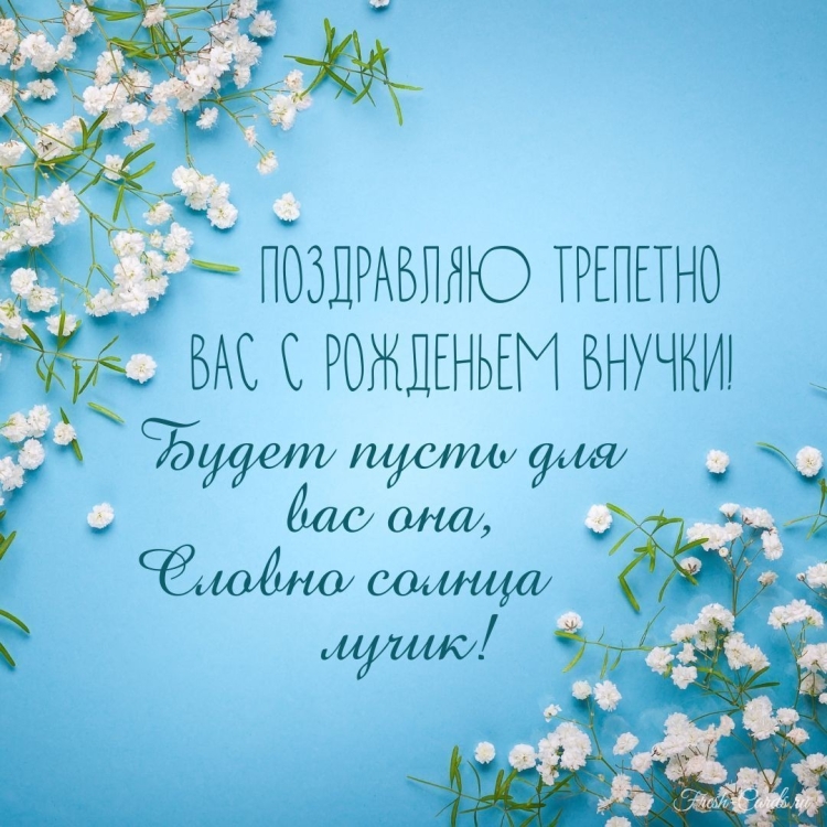 Поздравление с рождением правнучки для прабабушки