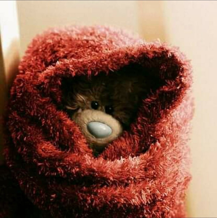 Выздоравливай скорее Медвежонок