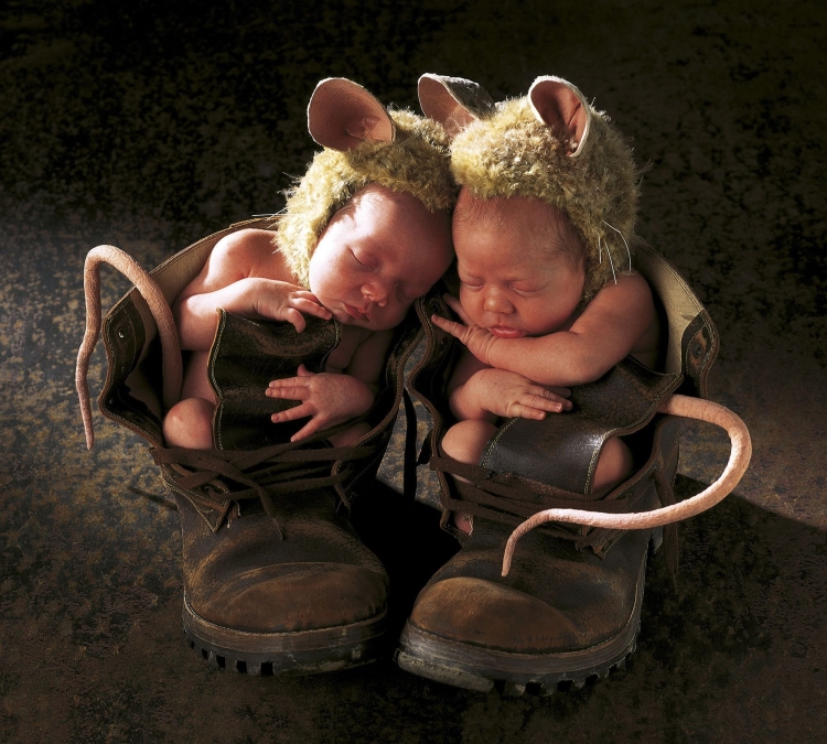 Anne Geddes младенцы