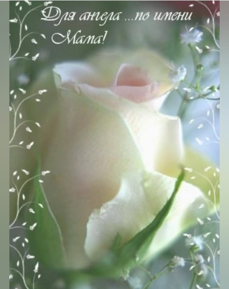 День рождения мамы