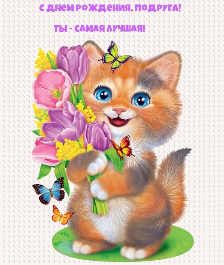 Плакаты с котиками