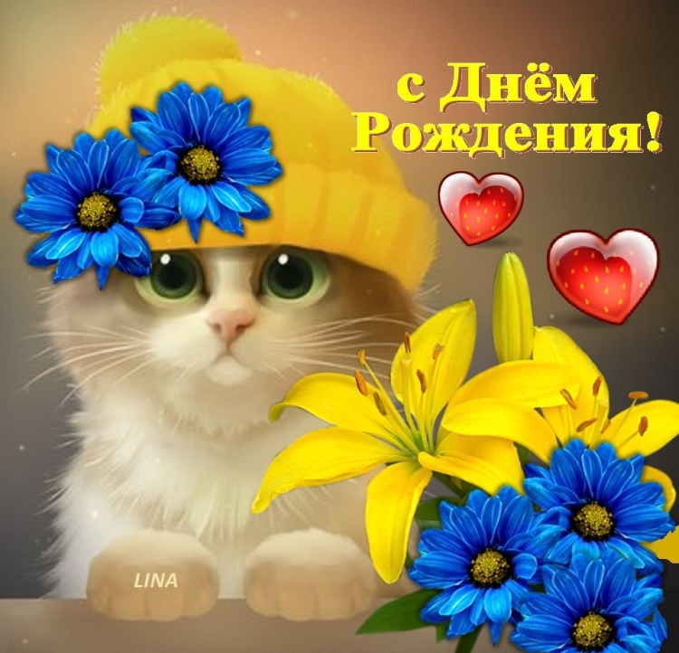 Открытки с днём рождения с котиками