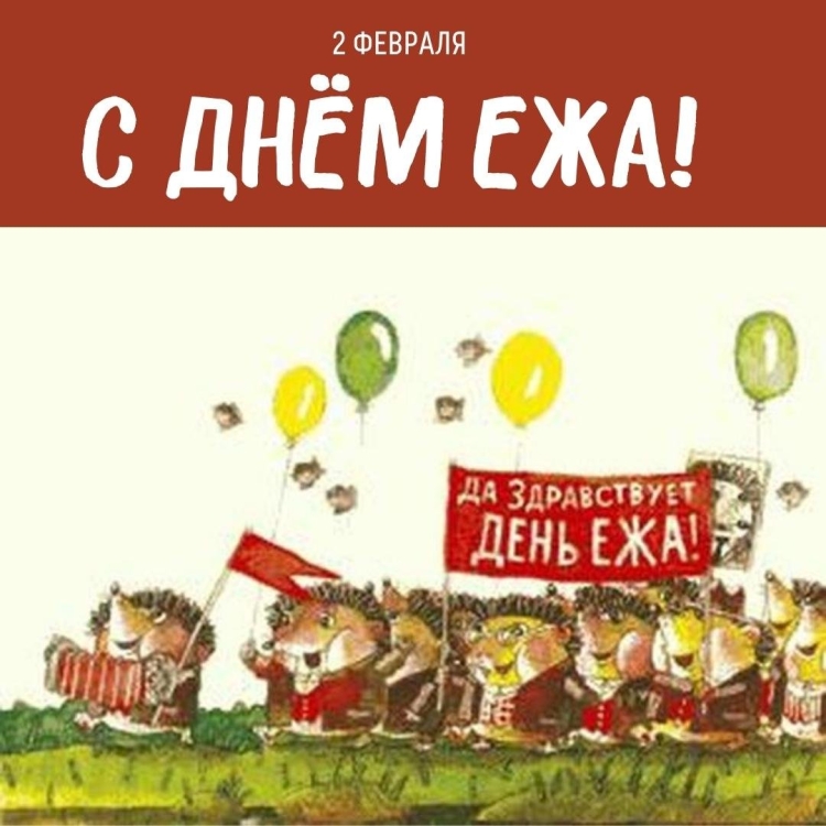 День ежа 2 февраля