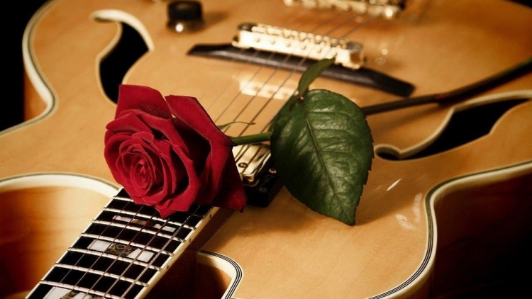 Гитара и роза