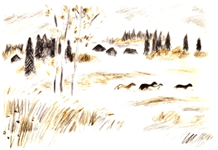 Иллюстрации в.Смирнова