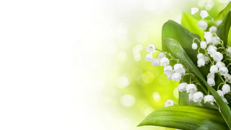 Именинники апреля